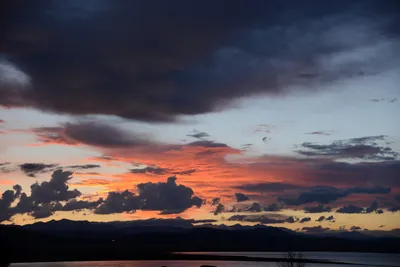 DSC_3326 (Large).JPG